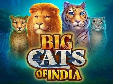 bigcatsofindia_Horizontal.jpg
